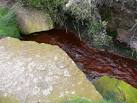 SE1800 : Stream running red with iron oxide that has seeped from the moor - via Daymix