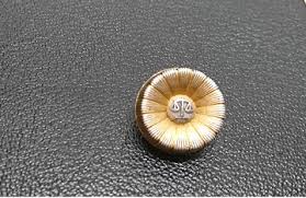 Image result for 弁護士バッジ