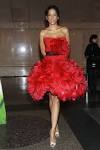 Veronica Webb WOWS In Red Dress At American Museum Of Natural ...