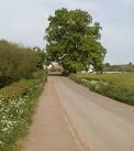 SO4510 : Mighty oak at southern edge of Dingestow - via Daymix