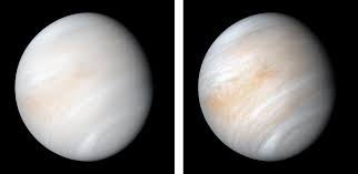 Image result for venus