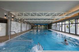 Image result for Kingsbridge Kingfishers Swimming Club