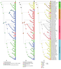 Attēlu rezultāti vaicājumam “Arcyria minuta stalked”