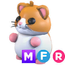 Image result for хомяк