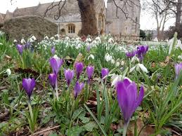 Image result for Worcester Rambling Club