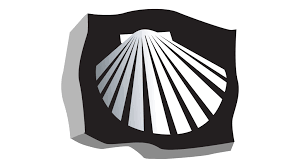 Image result for mountain top seashell