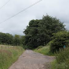 Attēlu rezultāti vaicājumam “Cabera exanthemata female”