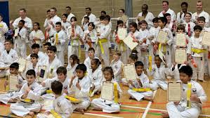 Image result for Kenshukai Karate