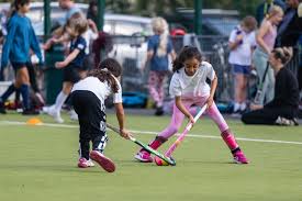 Image result for Waverley & Inveresk Hockey Club