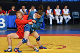 Image result for Combat Sambo