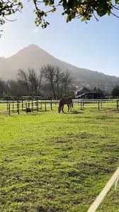 Image result for The Riding Centre