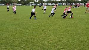 Image result for Wilden Village Cricket Club