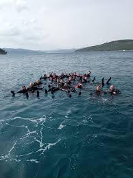 Image result for Chelsea & Fulham Sub-Aqua Club