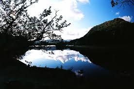 Image result for epl1 20mm night site:flickr.com