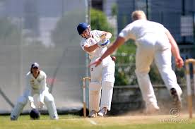 Image result for Yelverton Bohemians Cricket Club