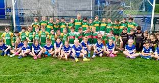 Image result for Ardglass Gfc