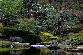 Image result for japanese gardens...