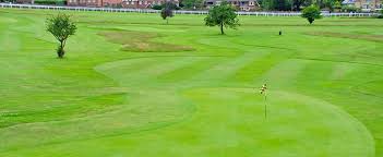 Image result for Thames Ditton & Esher Golf Club
