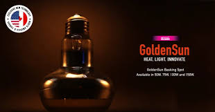 Risultati immagini per arcadia basking solar flood