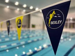 Image result for Saxon Crown (Lewisham) Swimming Club