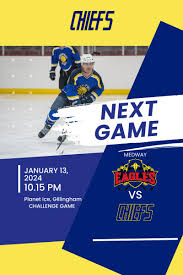 Image result for Streatham Chiefs Ice Hockey Club