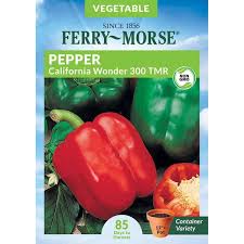 Afbeeldingsresultaat voor california wonder 300 sweet pepper