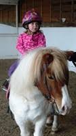 Image result for Weybridge Equestrian Centre