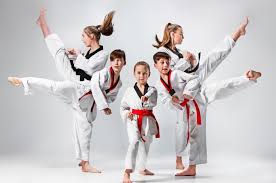 Image result for Bytomic Tae Kwon Do Watford