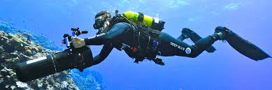 Image result for Deep Blue Diving
