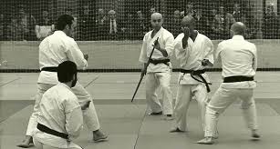 Image result for Independent Wadoryu Karate Federation