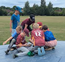 Image result for Guildford Mavericks