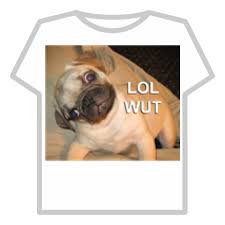 Image result for lol wut