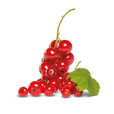 Bildergebnis für rote johannisbeeren