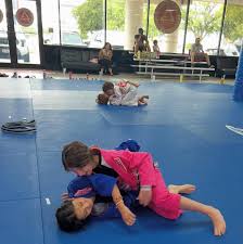 Image result for Northern Academy of Ju-Jitsu
