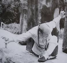 Image result for Shaolin Nam Pai Chuan Kung Fu - Manchester Martial Arts Centre