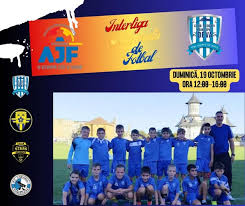 Image result for Deva Handball Club