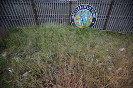 Image result for Macclesfield Meltdown