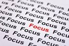 focus | writing at the table