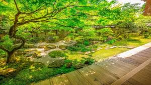 Image result for japanese gardens...