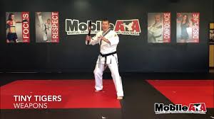 Image result for ATA Martial Arts Mobile