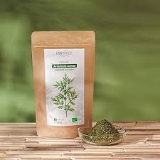 Image result for Artemisia annua