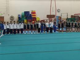 Image result for Hawth Gymnastics, Crawley