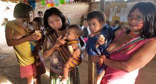 Attēlu rezultāti vaicājumam “Pandemis cinnamomeana female”