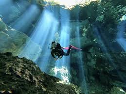 Image result for innerspace divers