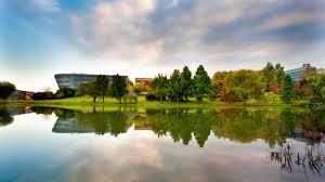 Image result for University Of Surrey