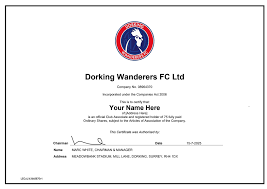 Image result for Dorking Football Club Limited