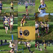 Image result for Newport Harriers Athletic Club