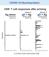 Image result for GD:Graph