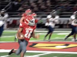 Image result for Elm Grove Football Club