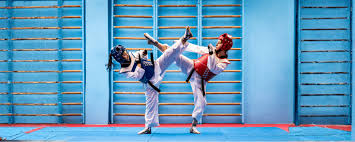 Image result for COMBAT TAEKWONDO